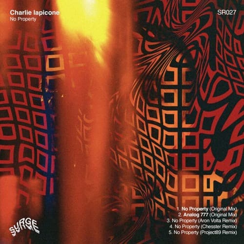Charlie Iapicone — No Property