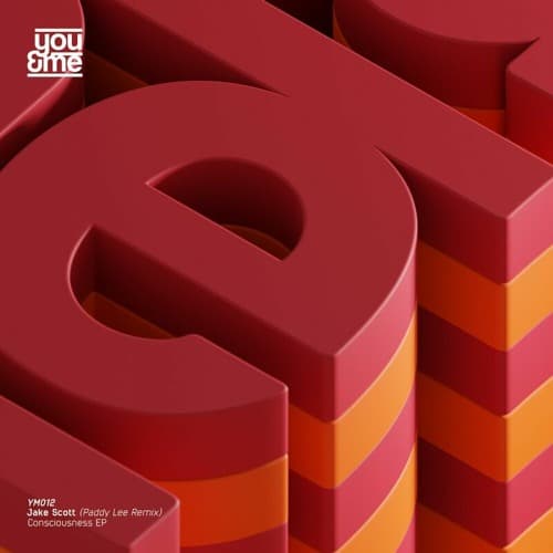 J6 — Consciousness