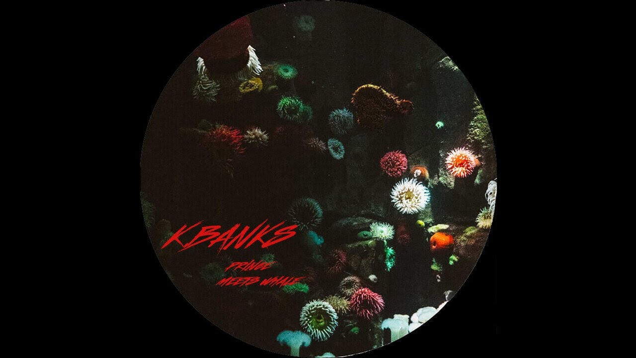 k.banks — Flap Turtle