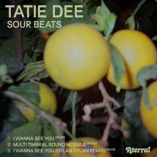 Tatie Dee — Multi Timbral Sound Module