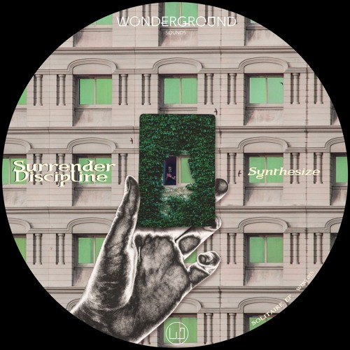 Surrender Discipline — Synthesize