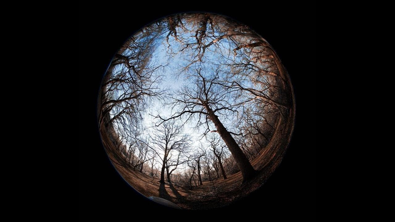 Victor Montero — Humankind