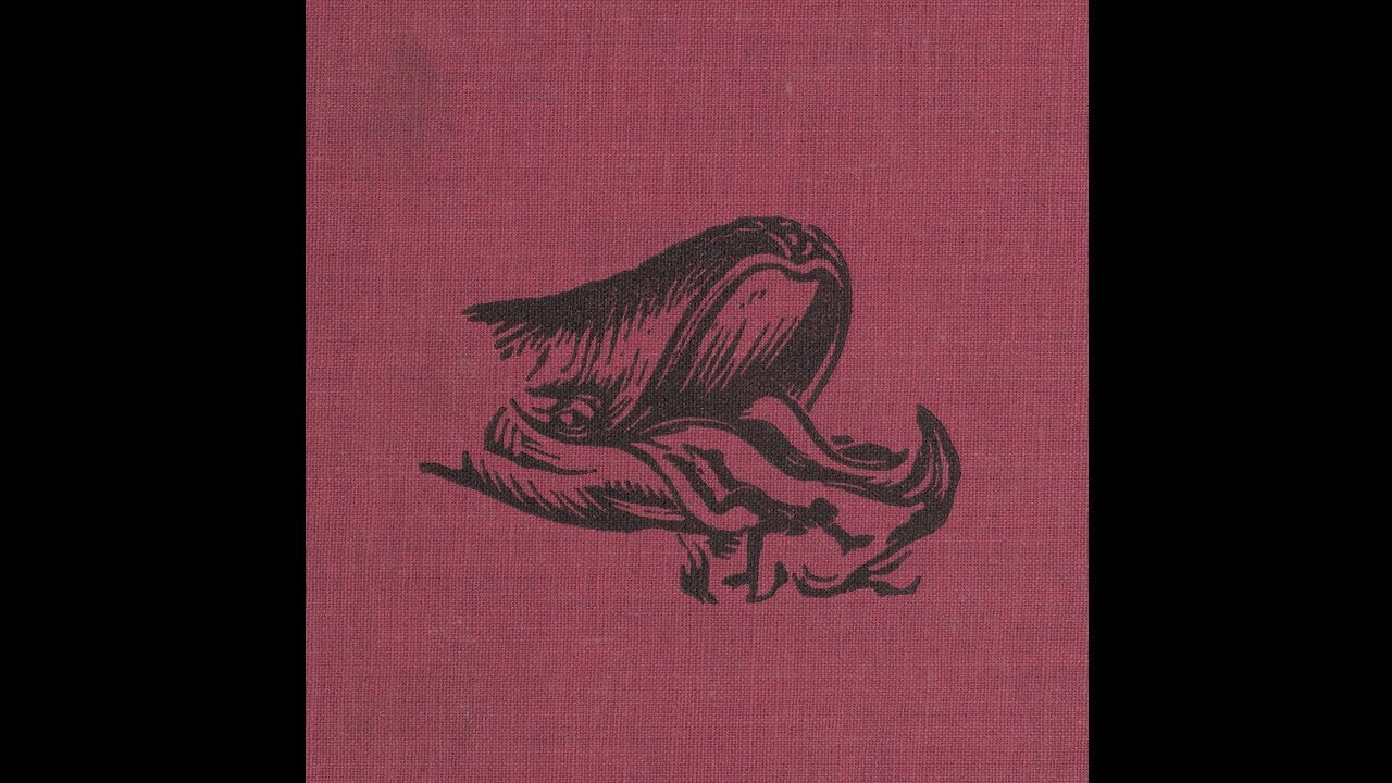 Aleksandir — Jardin